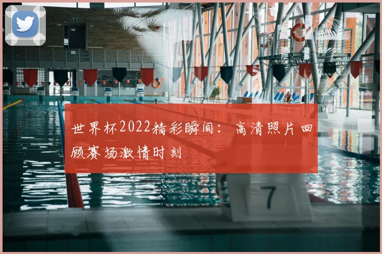 世界杯2022精彩瞬间：高清照片回顾赛场激情时刻