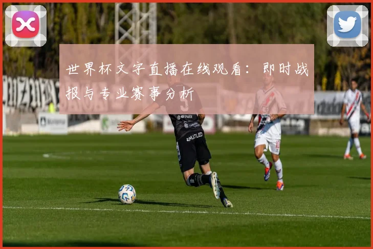 世界杯文字直播在线观看：即时战报与专业赛事分析