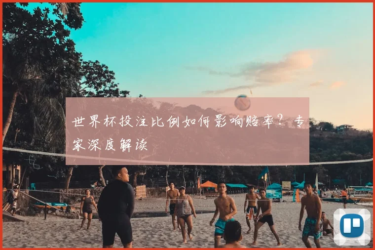 世界杯投注比例如何影响赔率？专家深度解读