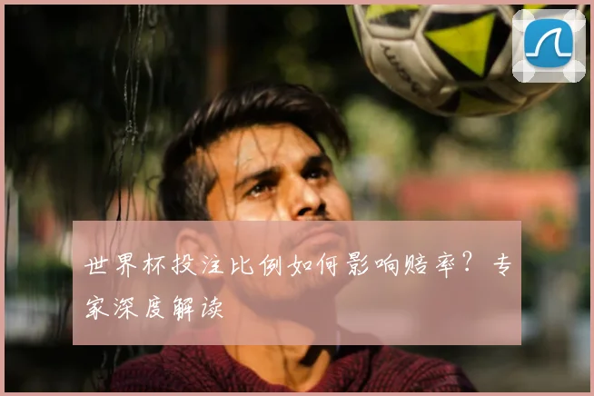 世界杯投注比例如何影响赔率？专家深度解读