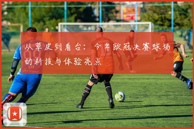 从草皮到看台：今年欧冠决赛球场的科技与体验亮点