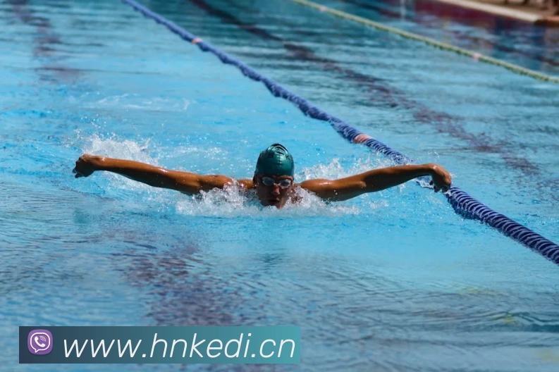 九游网页版直接进入官网平台生态图